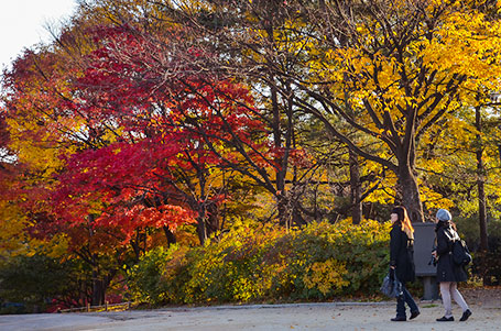 色付く紅葉と観光客