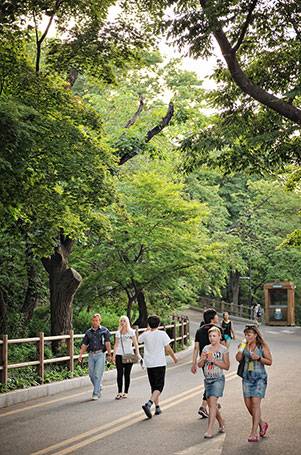 南山から下りてくる観光客