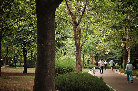 島山公園を散歩する人々