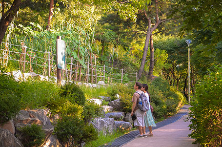 駱山公園を訪れる人々