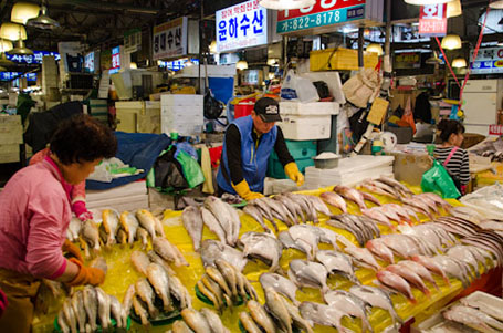 多様な水産物