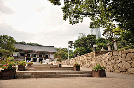 奉恩寺　階段