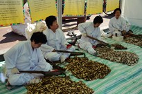 薬剤を早く刻むイベント