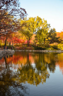 水面に映る紅葉