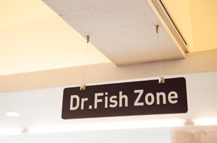 Dr.Fish Zone
