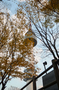 紅葉とNソウルタワー