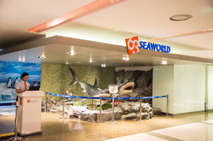 63 SEAWORLD（水族館）入口