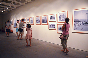 '開花の通り鍾路（ジョンロ）' の写真